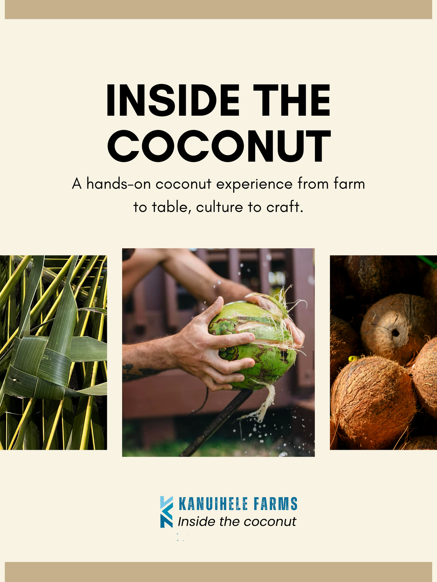 Workshop - Inside the Coconut