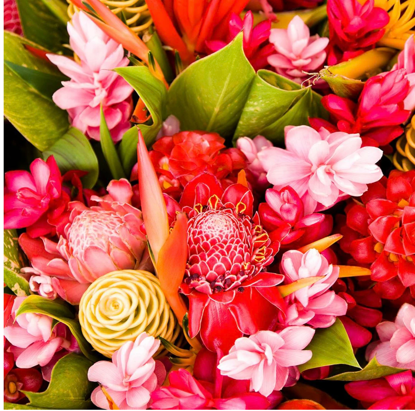 Celebration Box - Free Nationwide Shipping