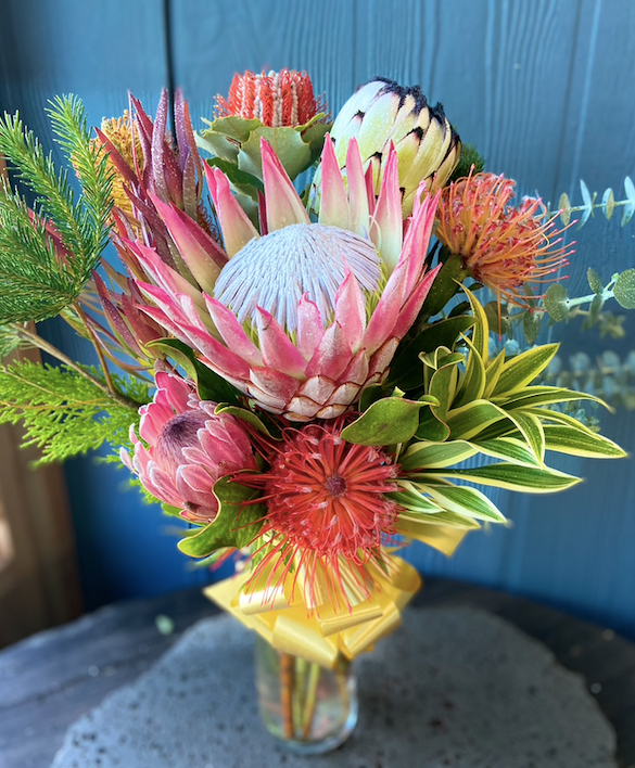 Protea Bucket or Vase