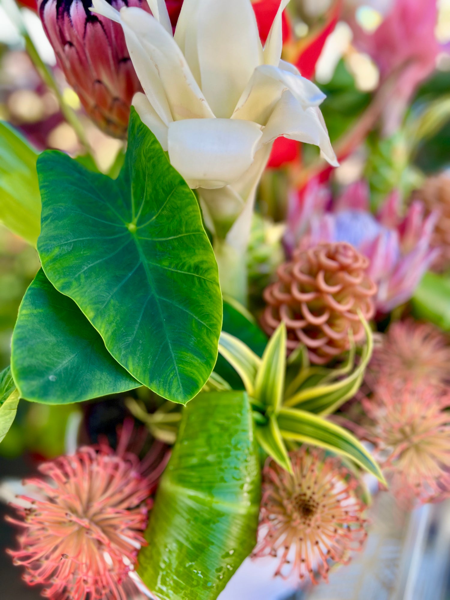 Nā Mea 'Ai ~ Sustainable Arrangements