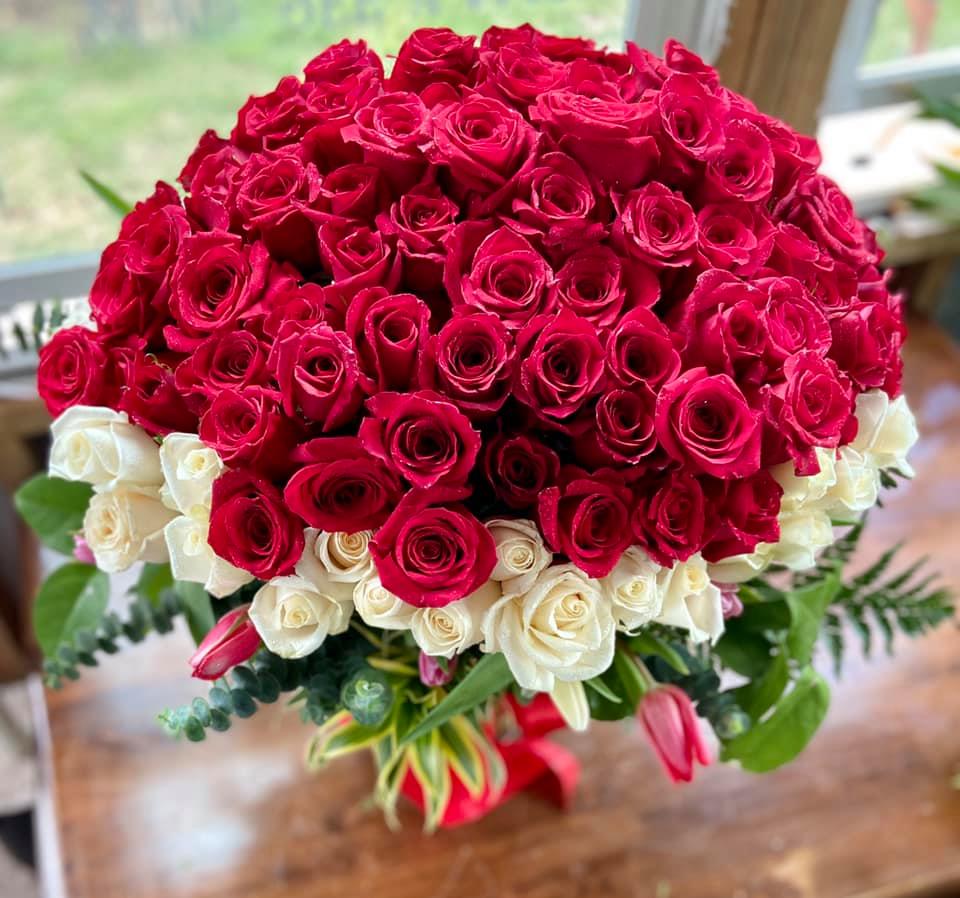 'Ula'ula Blanc ~ Wahine o ka pō