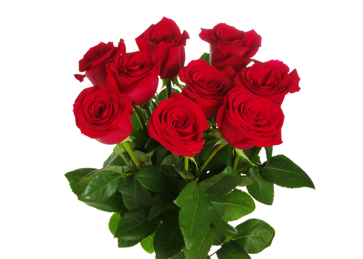 Roses Arrangements ~ Red