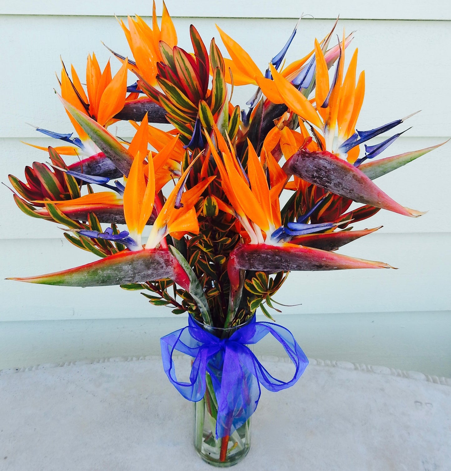 Harvest Flower Special ~ Beautiful Birds ~ Limited Item