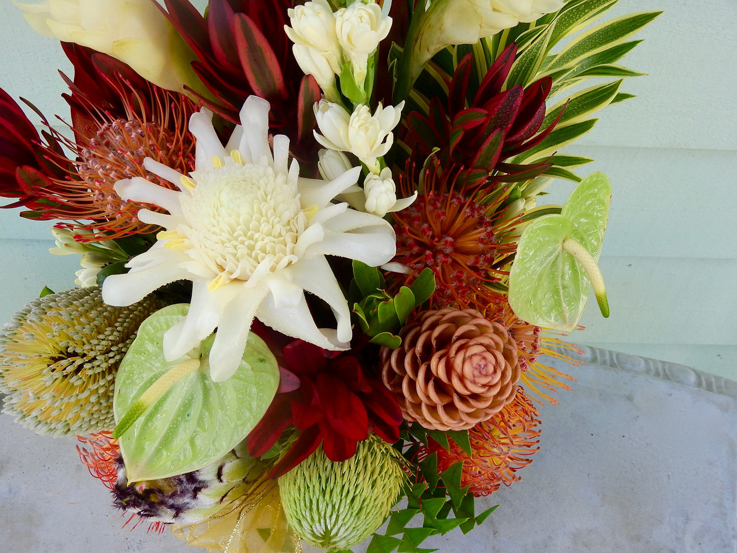 Aloha ʻĀina ~ Tropical Designer's Choice