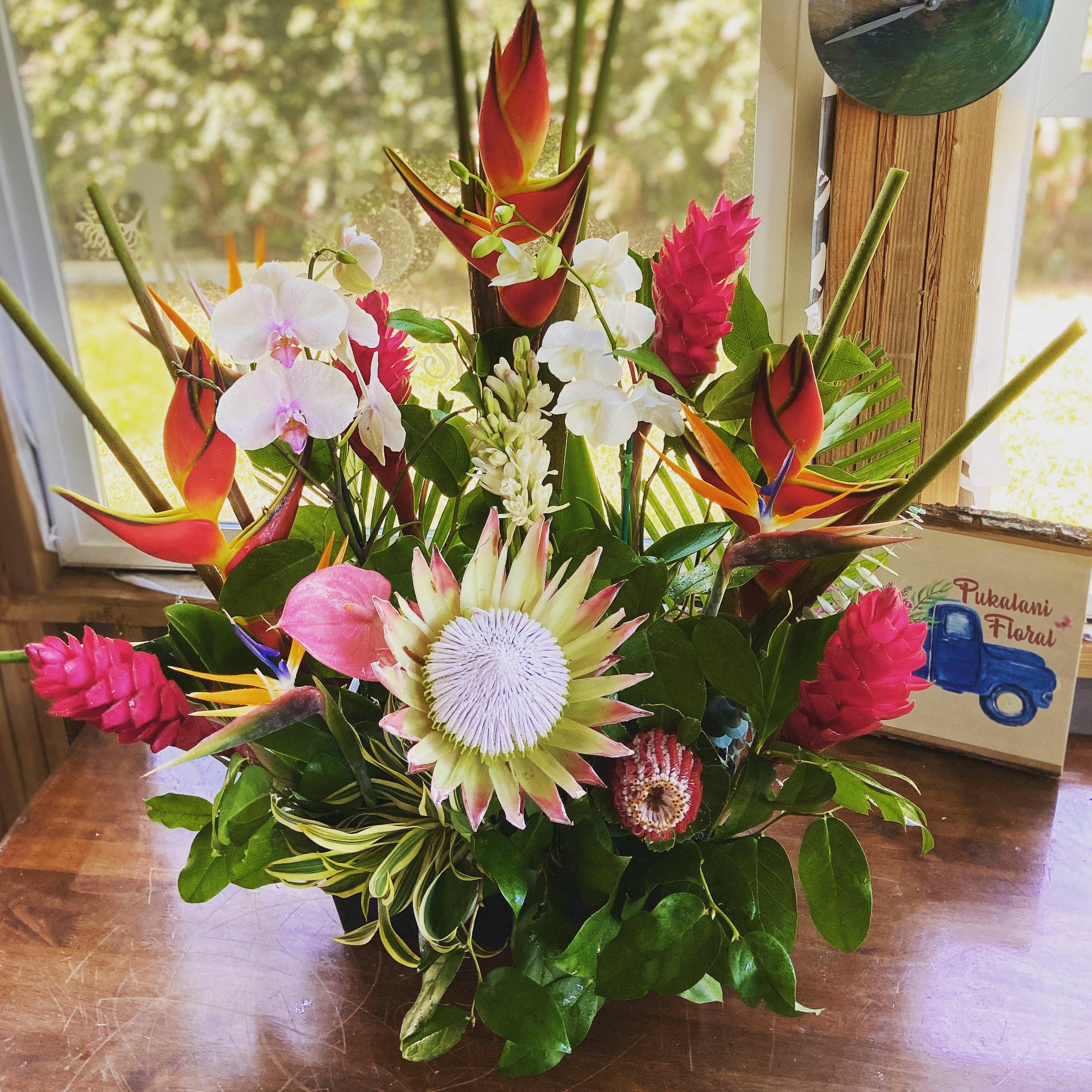 Aliʻi nui ~ Live Orchid Plant Arrangement – Kanuihele