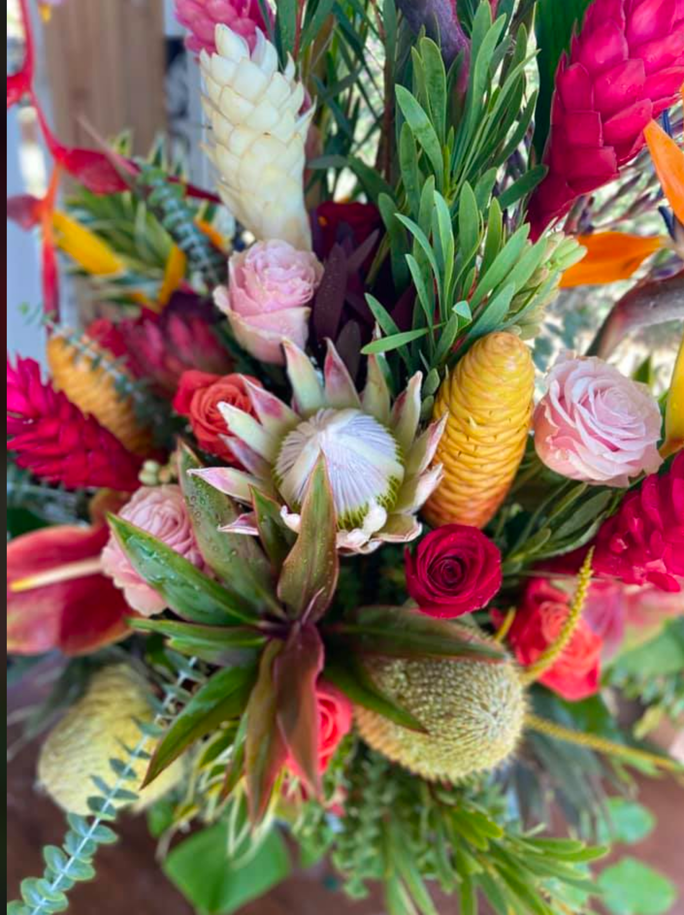 Aloha ʻĀina ~ Tropical Designer's Choice