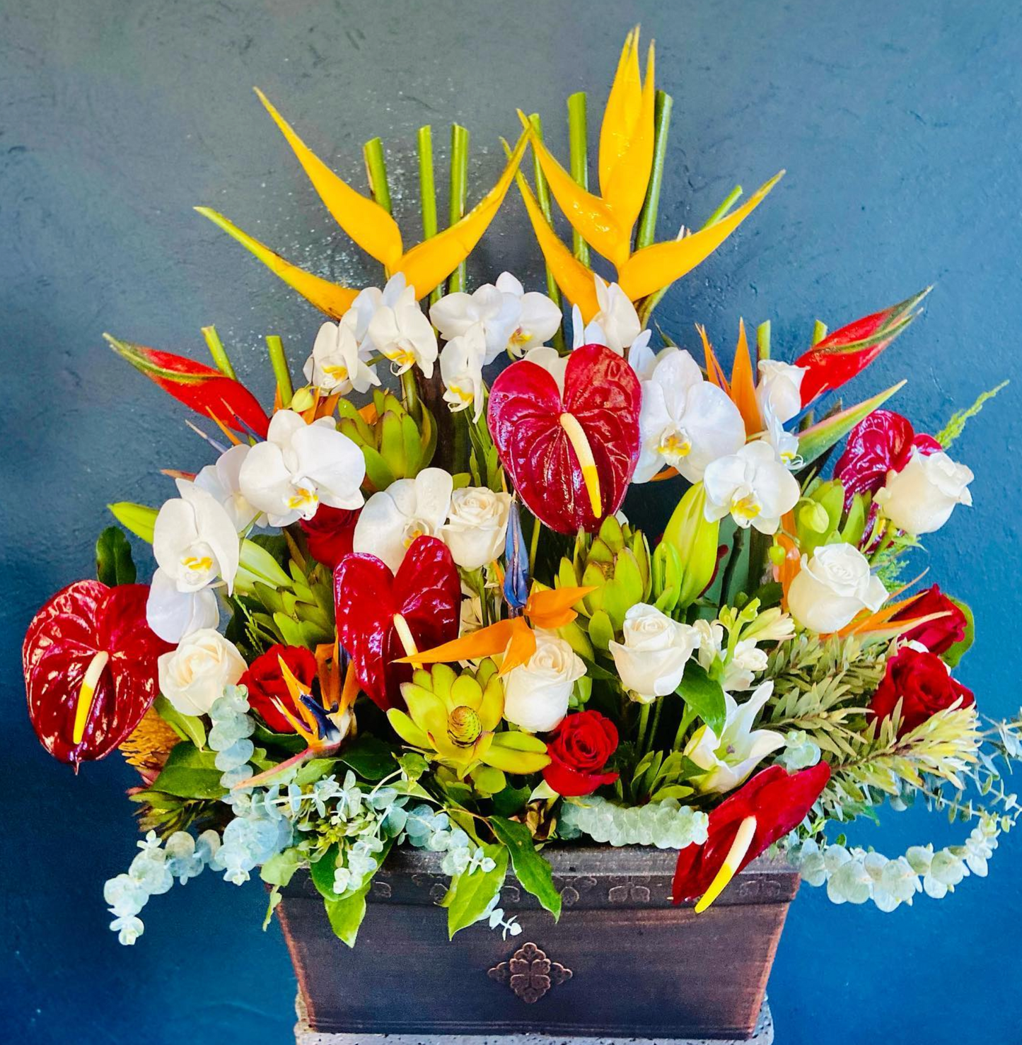 Aliʻi nui ~  Live Orchid Plant Arrangement