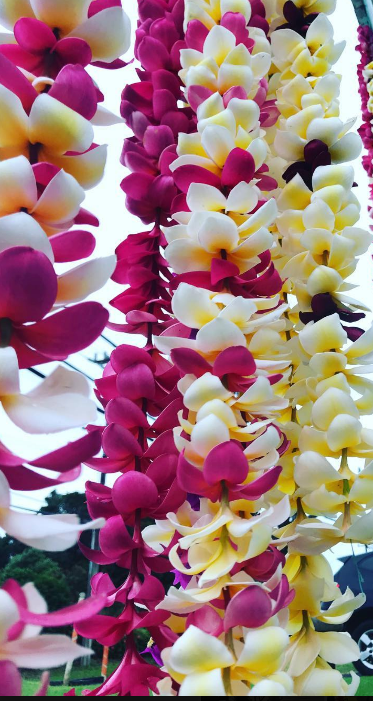Lei's ~ Click here to select Lei of Choice