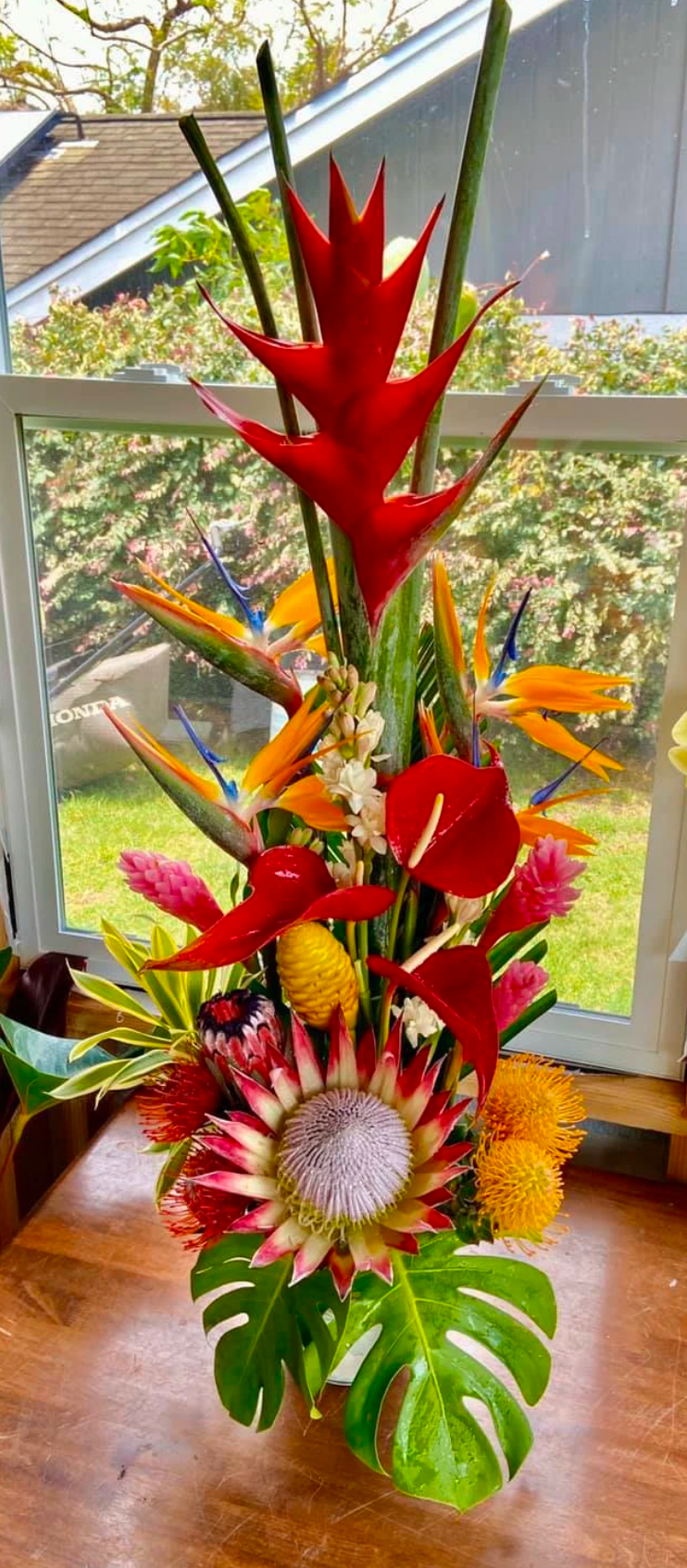 Aloha ʻĀina ~ Tropical Designer's Choice